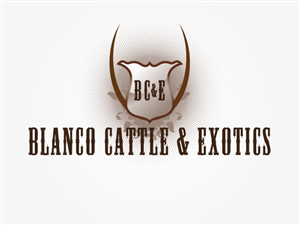 Logo Design by OUT of BOX.d