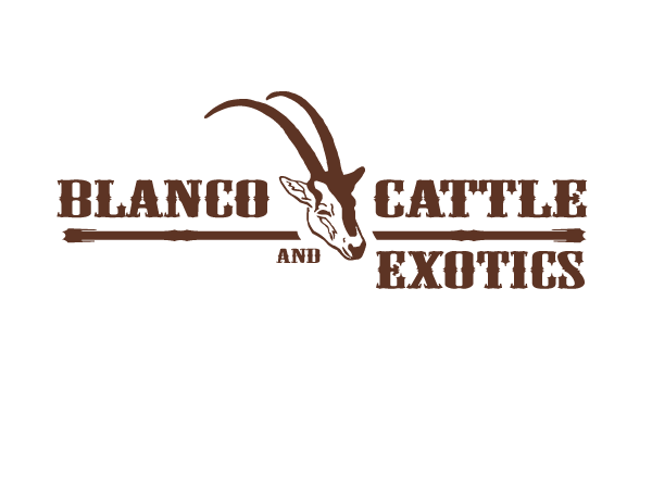 Logo Design by marty1950 for this project | Design #850234