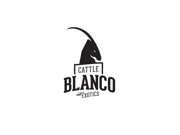 Logo Design by Adloram for this project | Design #846855