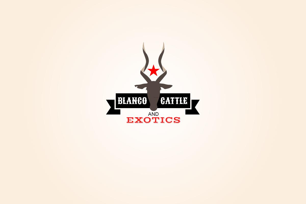 Logo Design by ANDRADE for this project | Design #860738