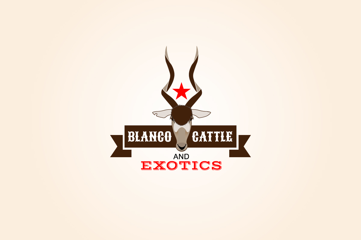 Logo-Design von ANDRADE für dieses Projekt | Design #866279