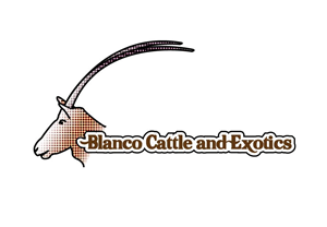 Logo Design by Mark Vargo