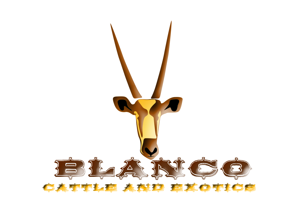 Logo Design by IJernei for this project | Design #843512