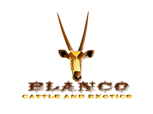 Logo Design by IJernei
