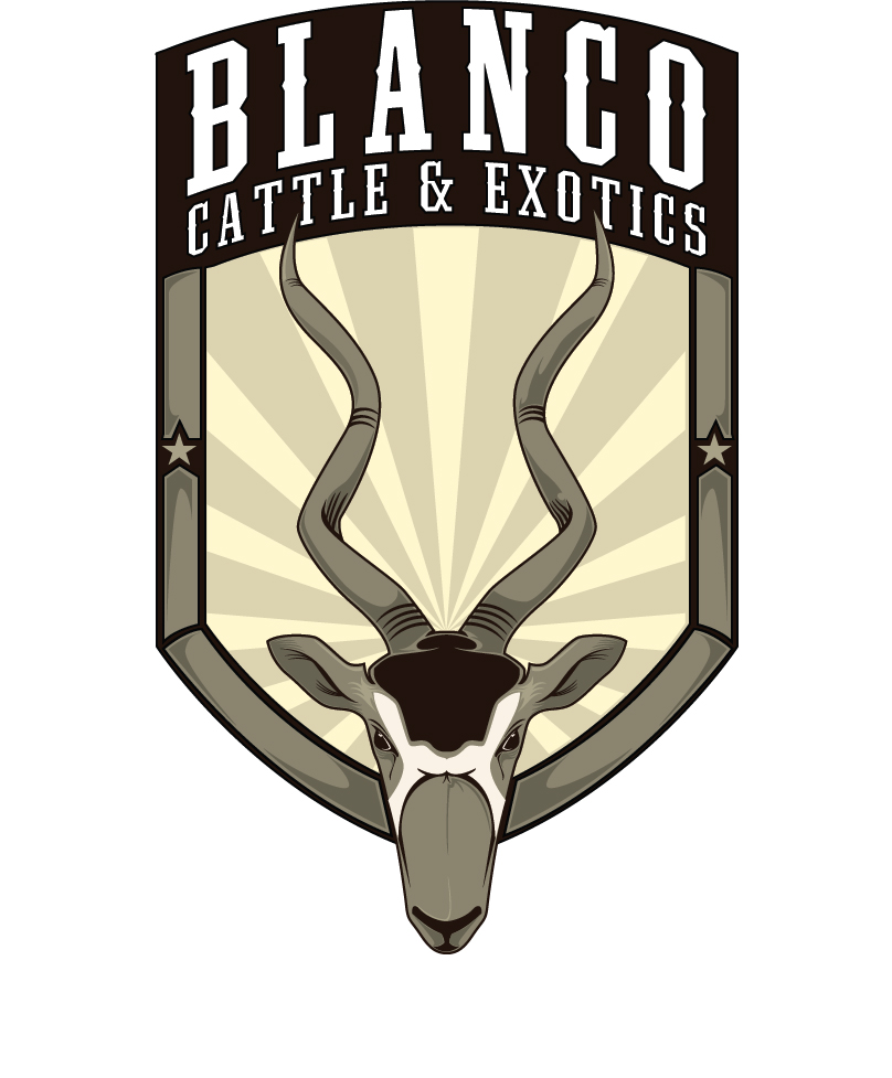 Logo Design by photolab for this project | Design #850636