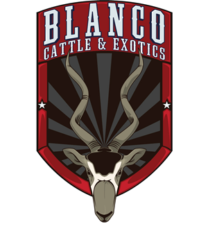 Logo Design by photolab for this project | Design: #852378