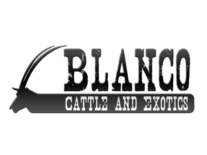 Logo Design by CR Marketing for this project | Design: #850289