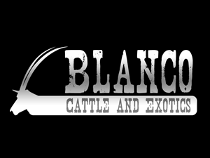 Logo Design by CR Marketing for this project | Design: #850290
