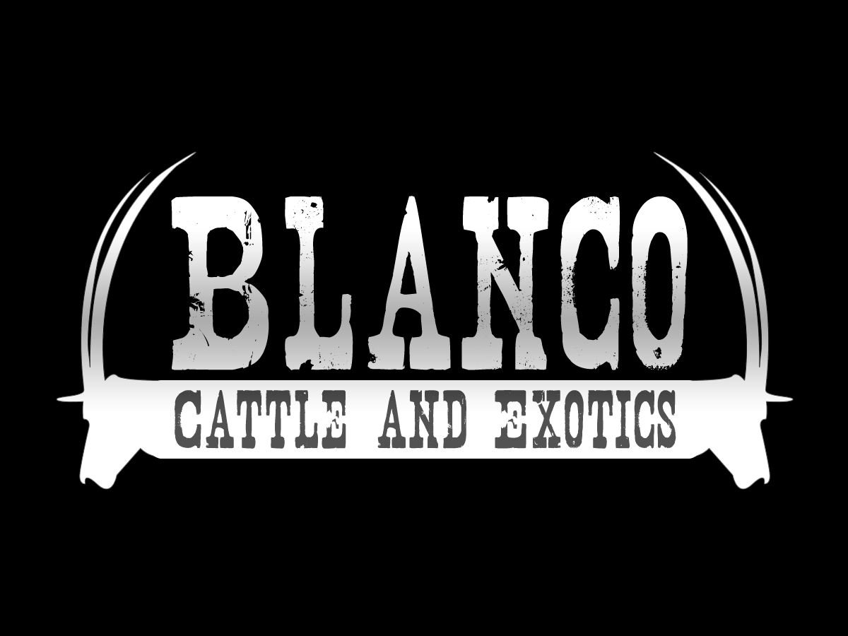Logo Design by CR Marketing for this project | Design #850293