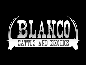 Logo Design by CR Marketing for this project | Design: #850293