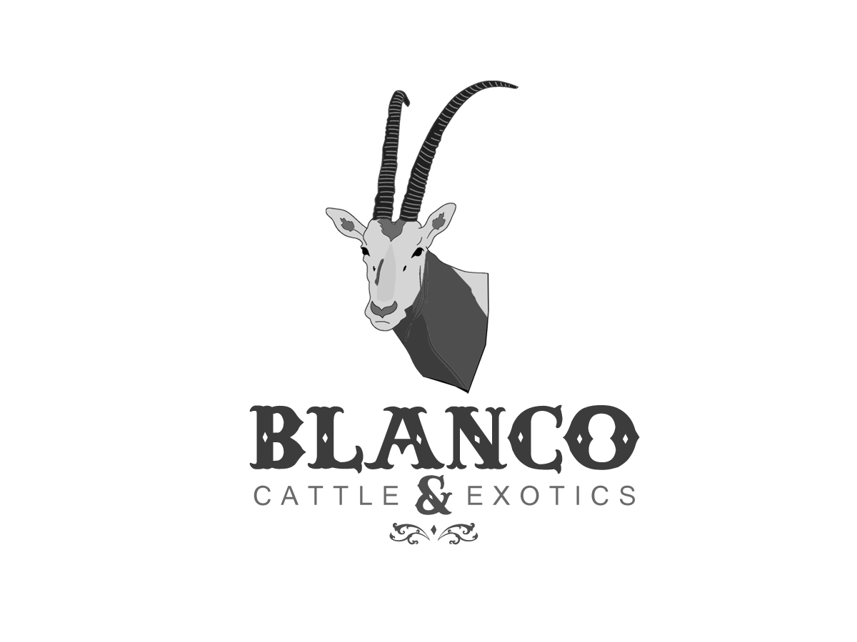 Logo Design by JRDesigns for this project | Design #864040