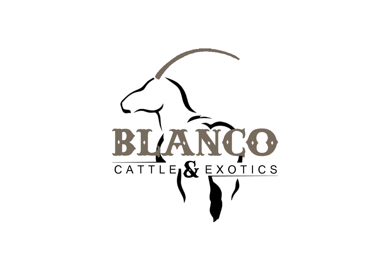 Logo Design by JRDesigns for this project | Design #864042