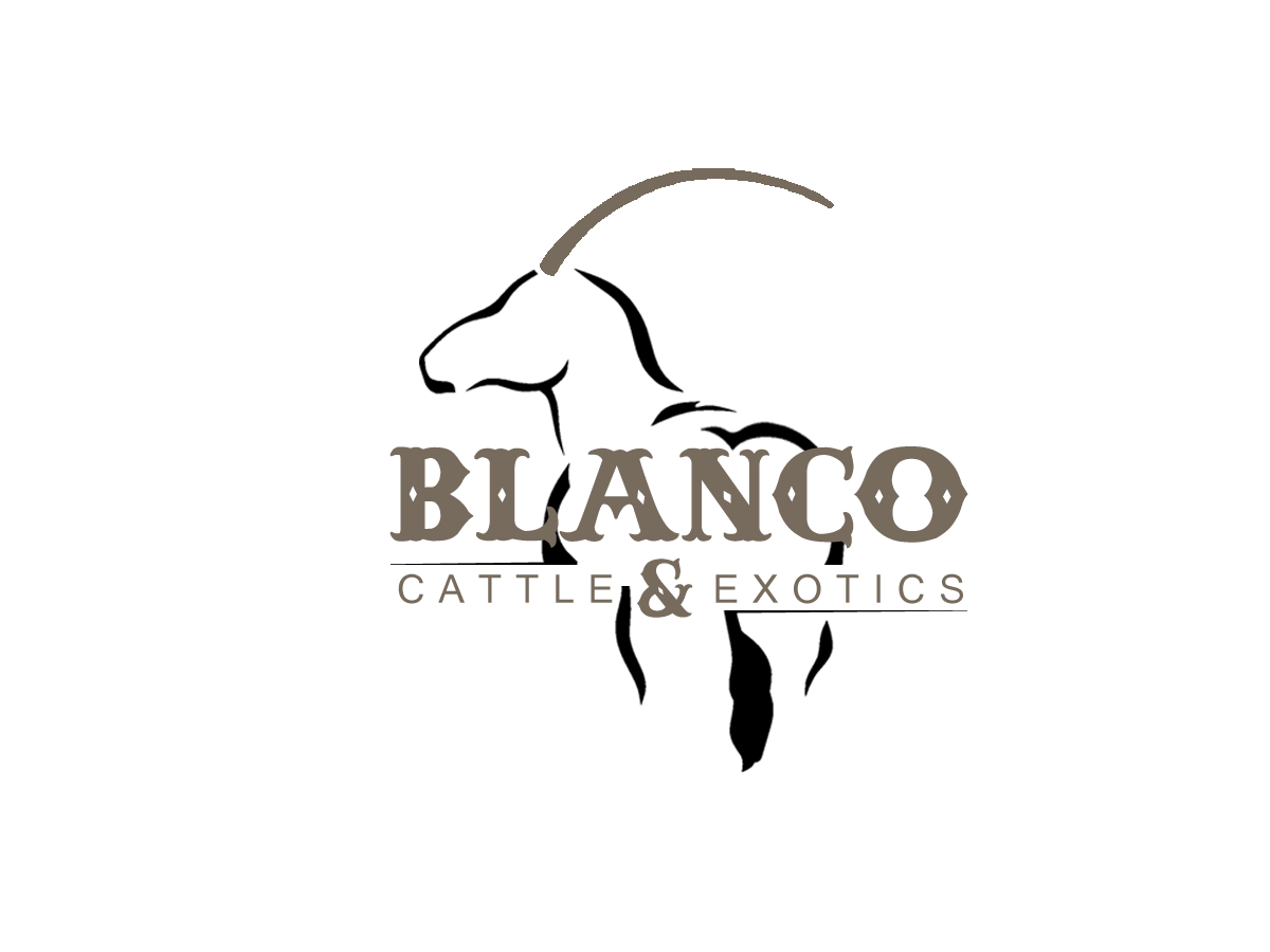 Logo Design by JRDesigns for this project | Design #864043