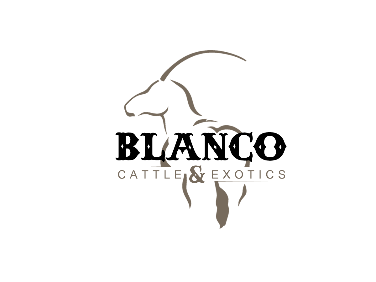 Logo Design by JRDesigns for this project | Design #864044