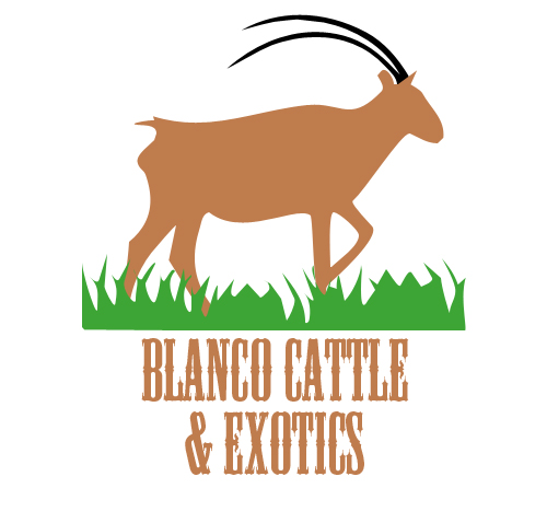 Logo-Design von Kaeleigh für dieses Projekt | Design #848746