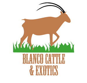 Logo Design by Kaeleigh for this project | Design: #848746