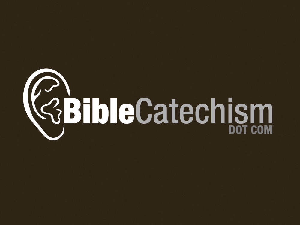 Graphic Design by Reid Hannan for this project | Design #873641