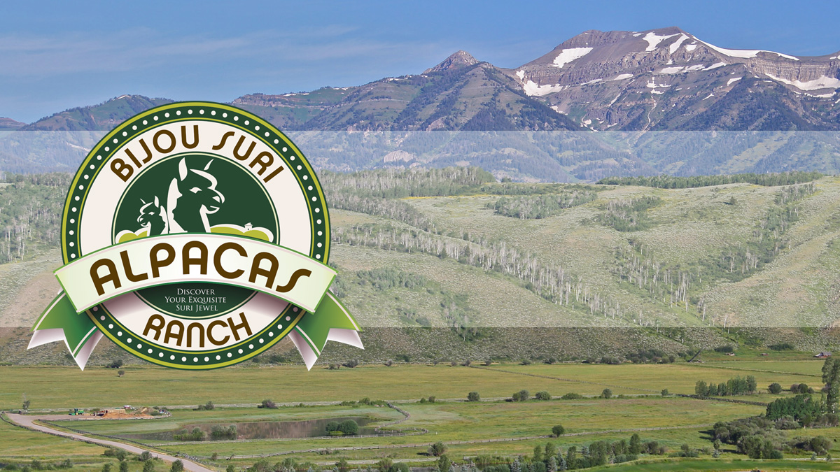 Design de Logo par Rodrigo Custodio pour Bijou Alpaca Ranch, LLC. | Design #3483959