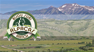 Design de Logo par Rodrigo Custodio pour Bijou Alpaca Ranch, LLC. | Design : #3483959