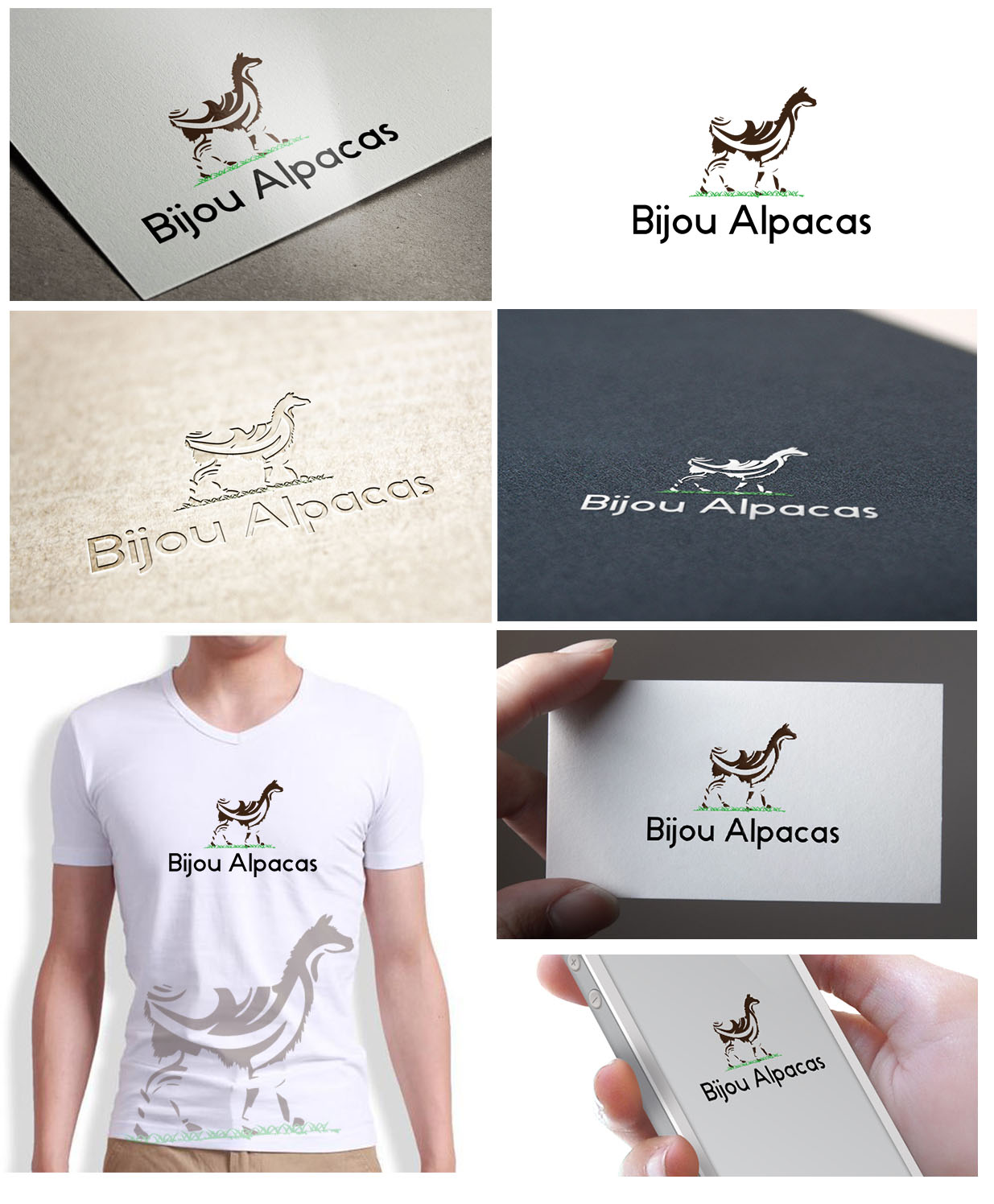 Logo Design by Gentle Spring Rain for Bijou Alpaca Ranch, LLC. | Design #3428503