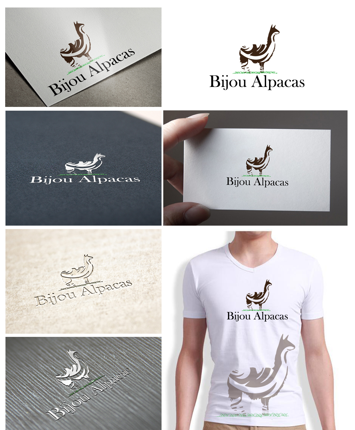 Logo Design by Gentle Spring Rain for Bijou Alpaca Ranch, LLC. | Design #3437732