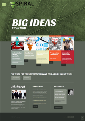 Wordpress Design by Shoaib Abbasi