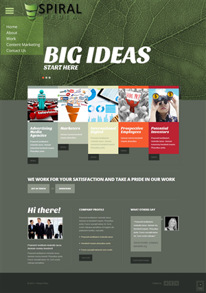 Wordpress Design by Shoaib Abbasi for Spiral Content Solutions Pvt Ltd | Design #3482174