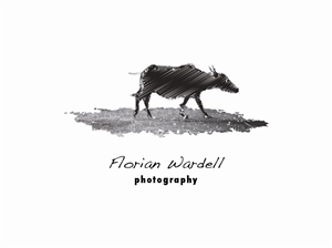 Logo Design by Little Green Door Studio