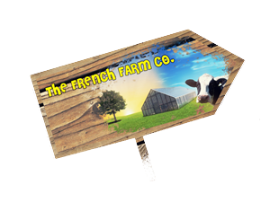 Logo Design by johnsapla