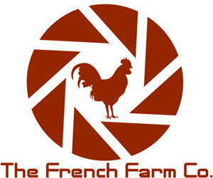 Logo Design by Nibor