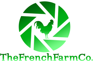 Design de Logo par Nibor pour TWE Singapore Pte Ltd | Design : #3467807