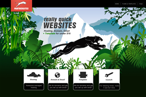 Web Design by ESolz Technologies