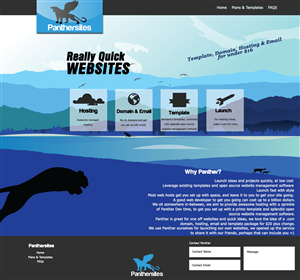 Web Design by Phenex Designs
