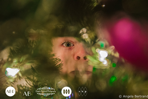Graphic Design by theohallDesign for Angela Bertrand Photography | Design: #3418369