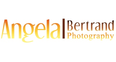 Graphic Design by Antony w for Angela Bertrand Photography | Design #3426078