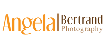 Graphic Design by Antony w for Angela Bertrand Photography | Design #3426090