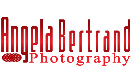 Graphic Design by Antony w for Angela Bertrand Photography | Design: #3426103