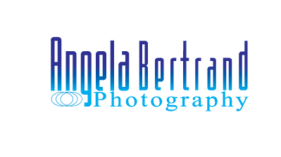 Graphic Design by Antony w for Angela Bertrand Photography | Design #3426110