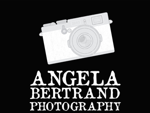 Graphic Design by WittyDogDesignsLLC for Angela Bertrand Photography | Design: #3420899