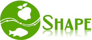 Logo Design by Imran Aqil