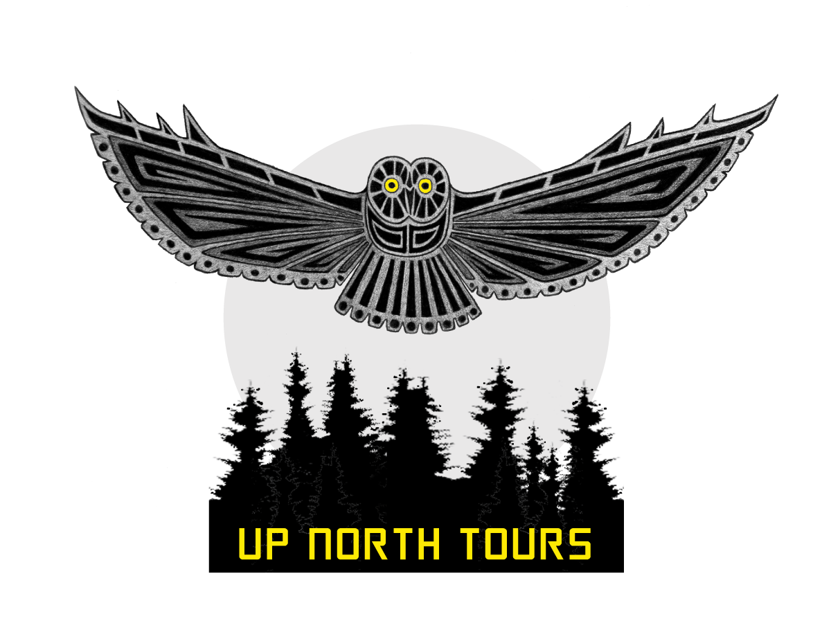 Logo-Design von ChristineDeye für Tundra North Tours | Design #3429317
