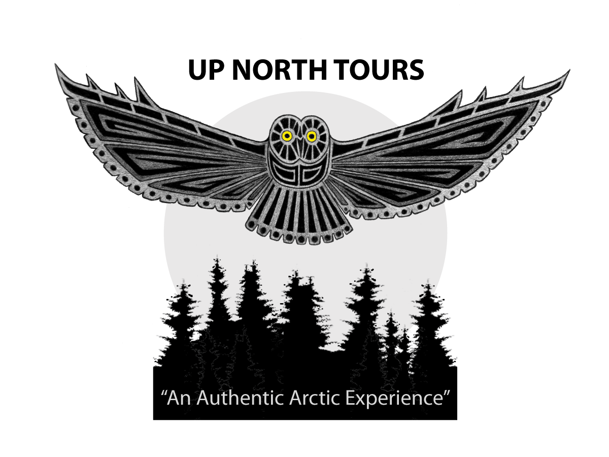 Logo Design by ChristineDeye for Tundra North Tours | Design #3440449