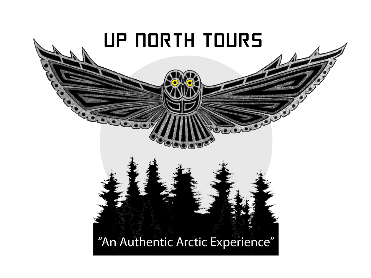 Logo Design by ChristineDeye for Tundra North Tours | Design #3440454