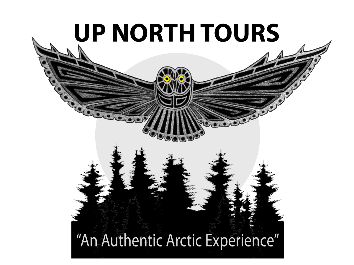 Logo Design by ChristineDeye for Tundra North Tours | Design #3485281