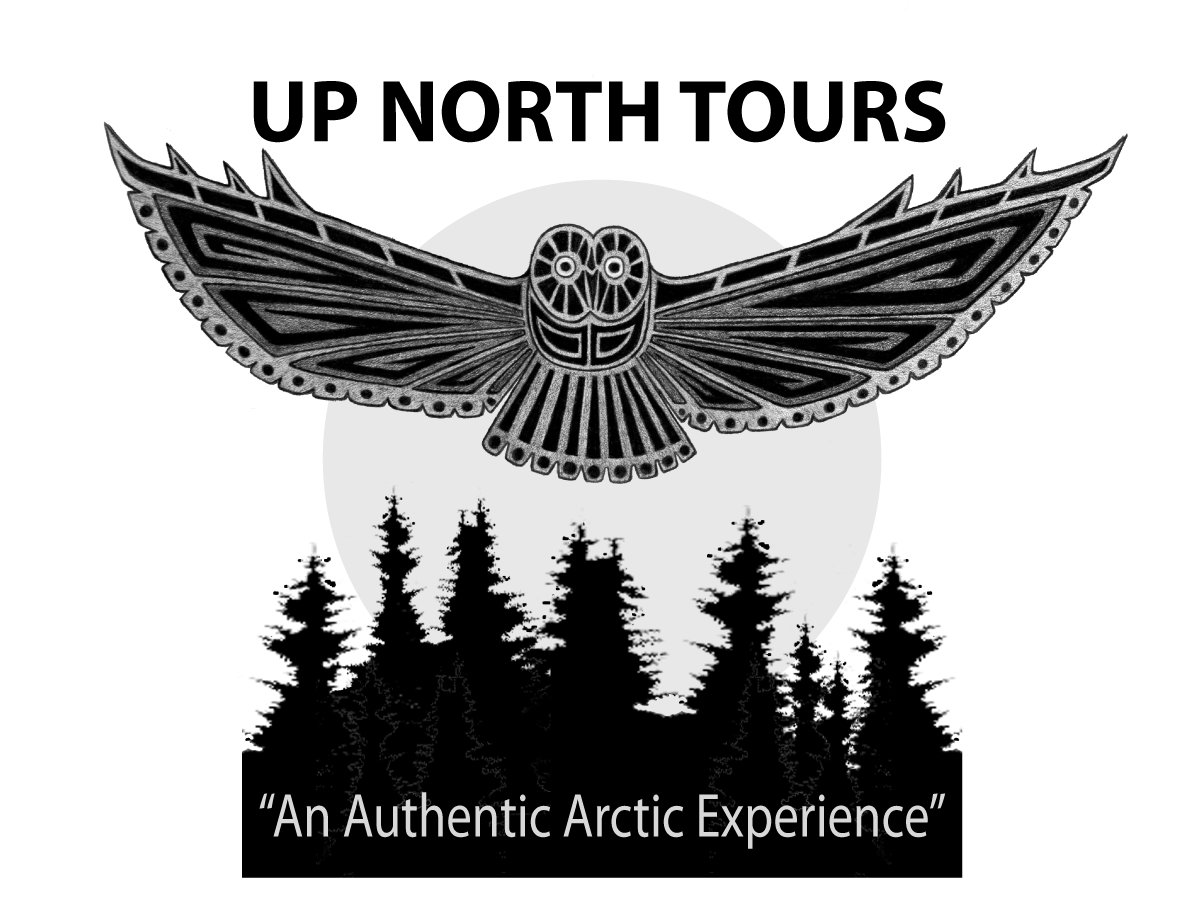 Logo Design by ChristineDeye for Tundra North Tours | Design #3485826
