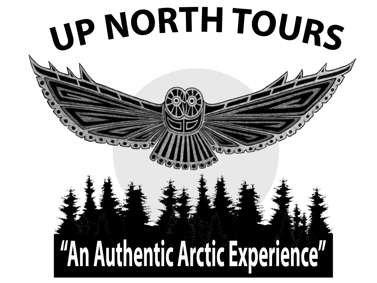 Logo Design by ChristineDeye for Tundra North Tours | Design #3493048