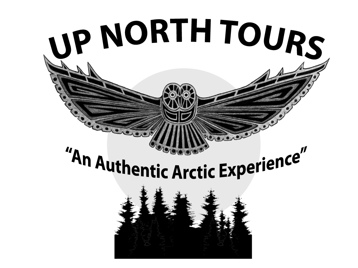 Logo Design by ChristineDeye for Tundra North Tours | Design #3493051