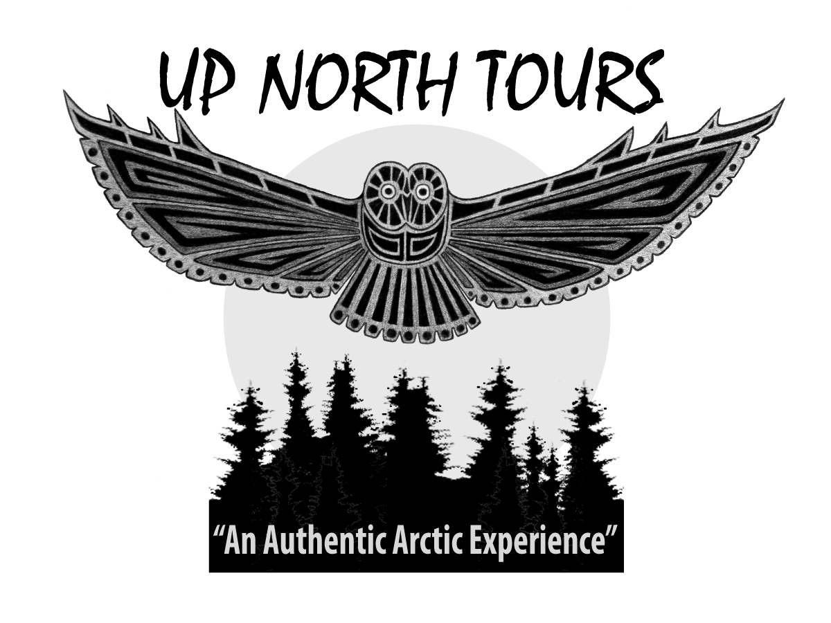 Logo Design by ChristineDeye for Tundra North Tours | Design #3547943