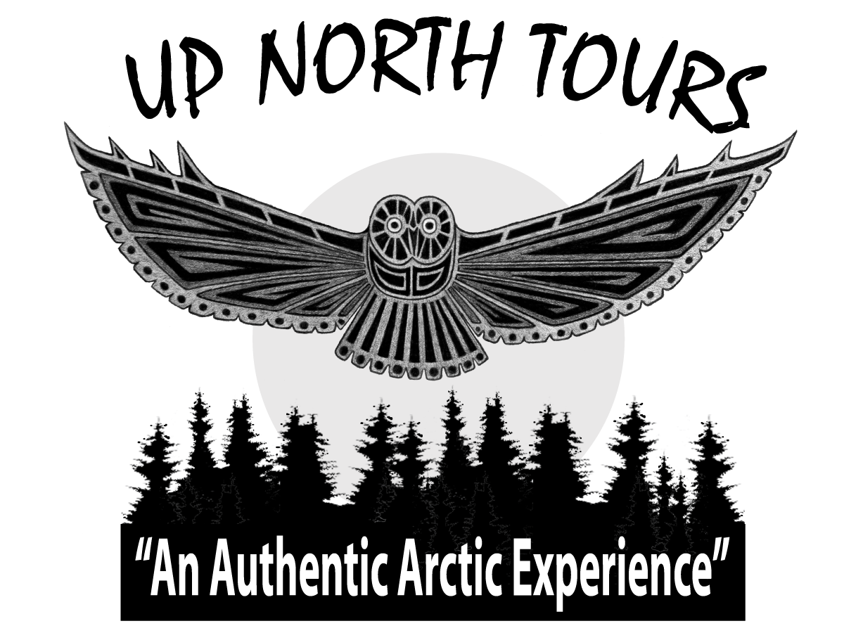 Logo Design by ChristineDeye for Tundra North Tours | Design #3548167