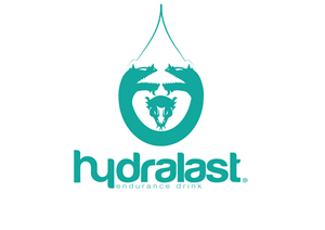 Logo Design by hirundo.design for StrongerFX Uni. LDA | Design: #3659273
